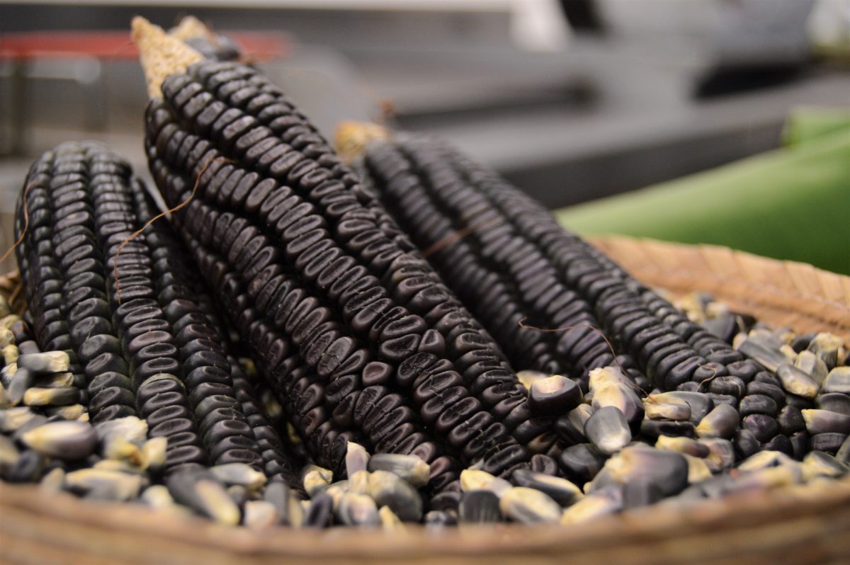 tamal de xoco