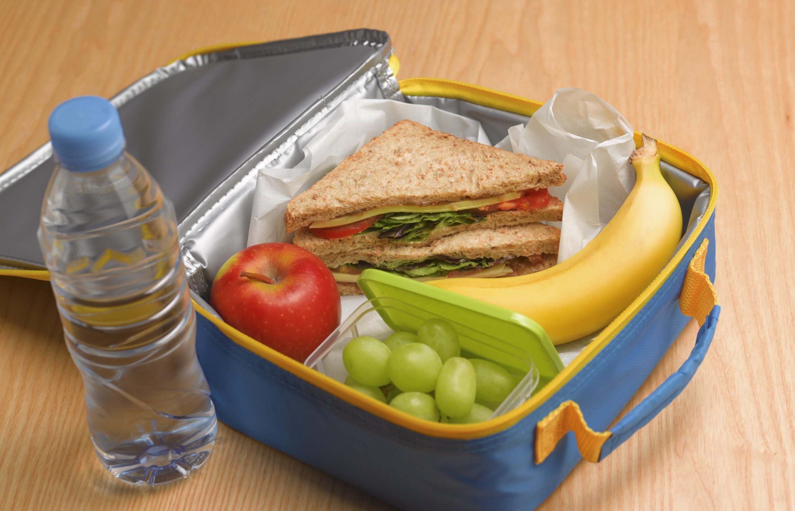 Lunch Para La Escuela Que Tus Hijos Realmente Disfrutar n Animal Gourmet lunch-para-la-escuela-que-tus-hijos-realmente-disfrutar-n-animal-gourmet